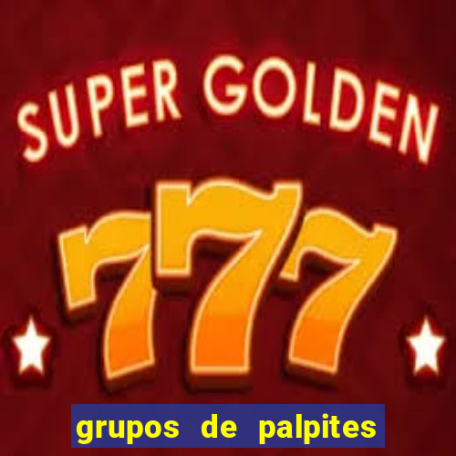 grupos de palpites de futebol whatsapp