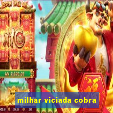 milhar viciada cobra