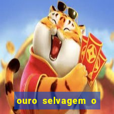 ouro selvagem o que aconteceu na vida