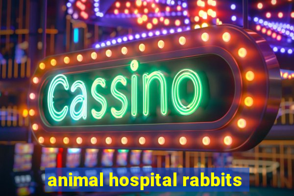 animal hospital rabbits