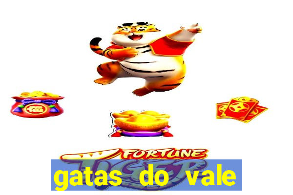 gatas do vale juazeiro ba