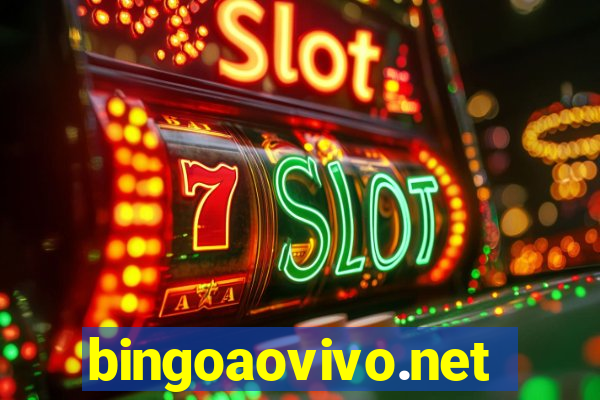 bingoaovivo.net