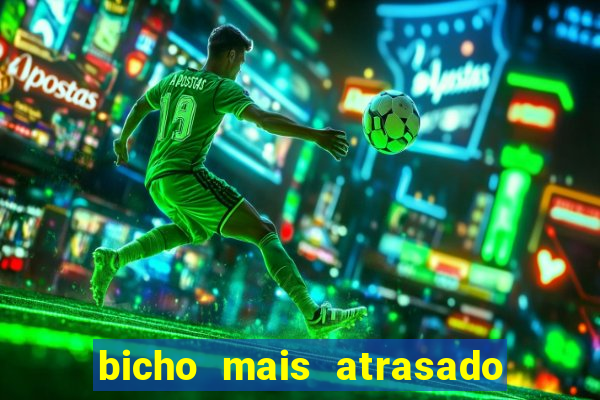 bicho mais atrasado na bahia