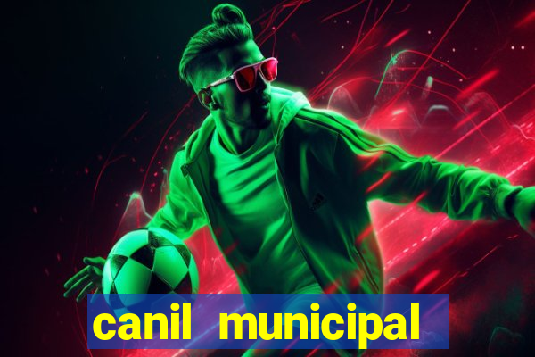 canil municipal porto alegre