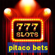 pitaco bets