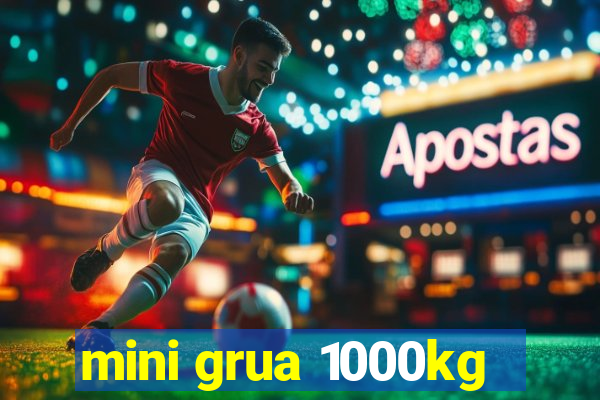 mini grua 1000kg