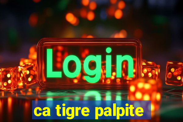 ca tigre palpite