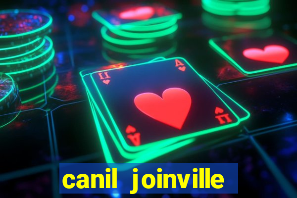 canil joinville vila nova